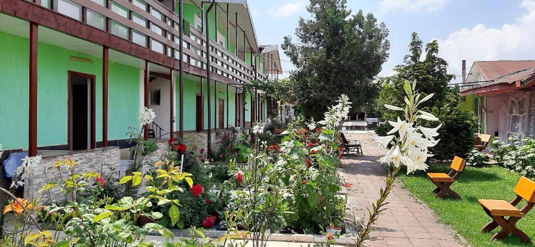 Casa Bucuria Hotel Costinesti Ngoại thất bức ảnh